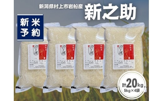 【新米受付・令和8年産米】新潟県村上市岩船産 新之助20kg（5kg×4袋）1099013N