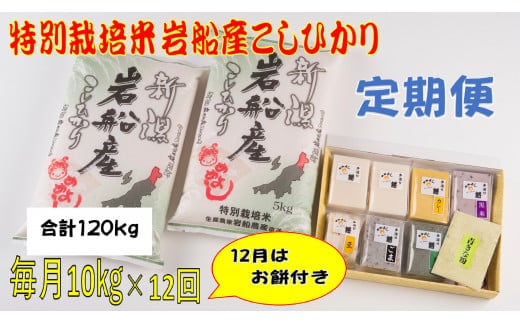 【令和7年産米】特別栽培米 新潟県岩船産 コシヒカリ 120kg(10kg×12ヶ月コース)+お餅セット(限定月1回) 定期便 毎月 お米 白米 こしひかり きねつき もち 精米 村上市 1013014