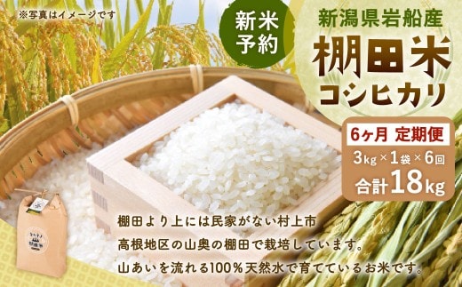 【新米受付・令和8年産米】【定期便：6ヶ月連続でお届け】新潟県村上市岩船産 棚田米コシヒカリ 3kg×6ヶ月 1011010N