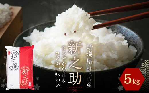 【令和7年産米】新潟県村上市岩船産 新之助 5kg 1027009