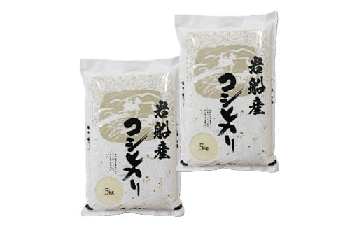 【令和7年産米】新潟県村上市岩船産コシヒカリ10kg(5kg×2袋) 1102002