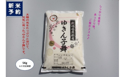 【新米受付・令和8年産米】【6ヶ月定期便】新潟県村上市産 ゆきん子舞 白米 5kg×6ヶ月 1039057N
