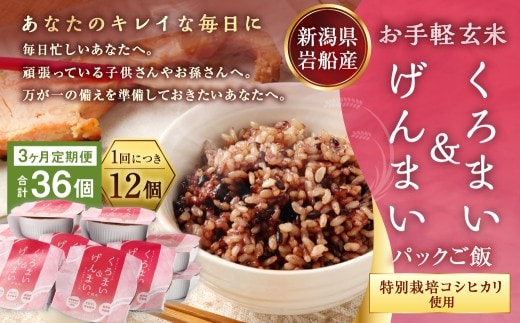 【令和7年産米】【3ヶ月定期便】【お手軽玄米】くろまい&げんまい パックご飯150g 12個入り×3ヶ月(特別栽培コシヒカリを使用) 1039027|玄米 黒米 アントシアニン 健康志向 便利 簡単 毎月届く
