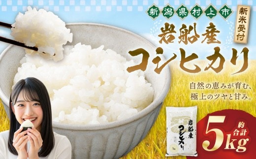 【新米受付・令和8年産米】新潟県村上市岩船産コシヒカリ5kg 1102001N