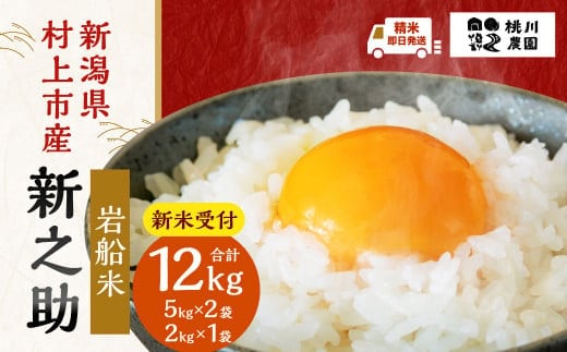 【新米受付・令和8年産米】【精米即日発送】新潟県村上市産 新之助12kg（5kg×2袋、2kg×1袋入り）NB4073