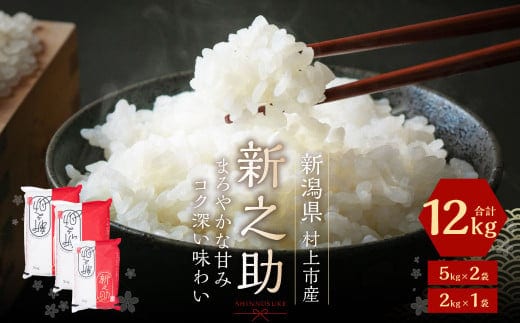B4030 【令和7年産米】村上市産新之助12kg
