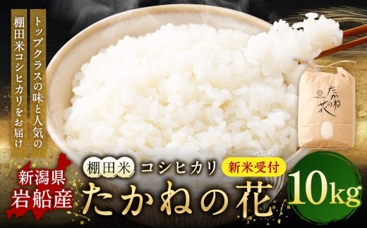 【新米受付・令和8年産米】新潟県村上市岩船産 棚田米コシヒカリ「たかねの花」10kg 1104002N