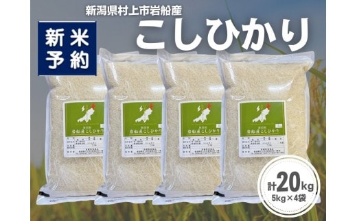 【新米受付・令和8年産米】新潟県村上市岩船産 コシヒカリ20kg（5kg×4袋）1099016N