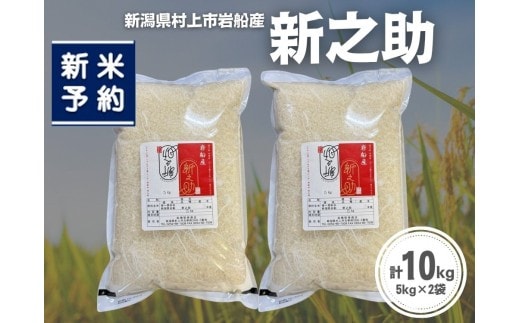 【新米受付・令和8年産米】新潟県村上市岩船産 新之助10kg（5kg×2袋）1099011N