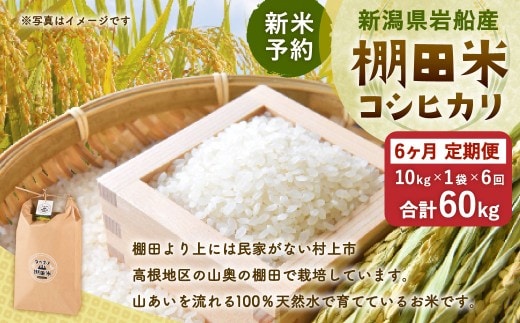 【新米予約・令和8年産米】【定期便：6ヶ月連続でお届け】新潟県村上市岩船産 棚田米コシヒカリ 10kg×6ヶ月 1011006N