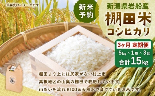 【新米受付・令和8年産米】【定期便：3ヶ月連続でお届け】新潟県村上市岩船産 棚田米コシヒカリ 5kg×3ヶ月 1011003N