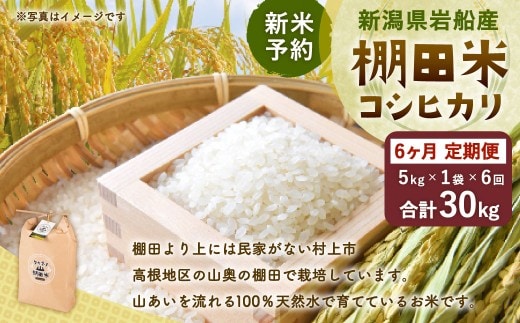 【新米受付・令和8年産米】【定期便：6ヶ月連続でお届け】新潟県村上市岩船産 棚田米コシヒカリ 5kg×6ヶ月 1011004N