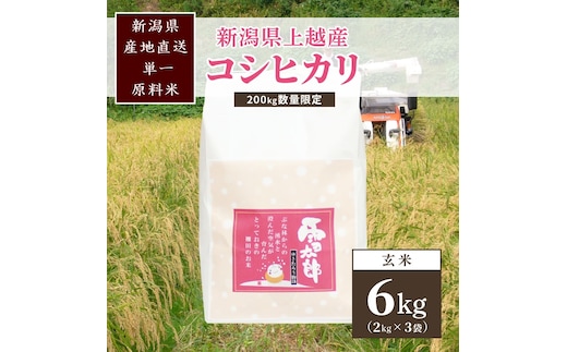 【数量限定】令和7年/新潟上越産「標高480mの山間地で育てた棚田米コシヒカリ」玄米6kg