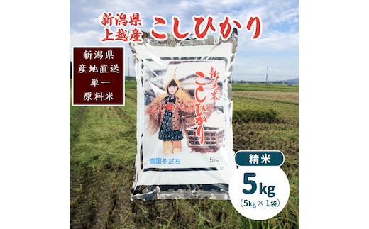 令和7年産・新潟県上越産/コシヒカリ 精米5kg(1袋)|美味安全野菜栽培士が栽培したお米
