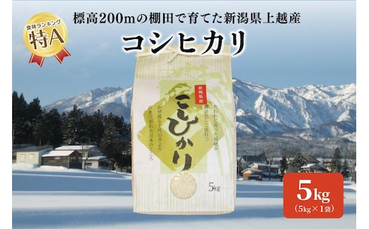 標高200mで育てた棚田米|令和7年産・新潟県上越市中郷産・従来種コシヒカリ精米5kg