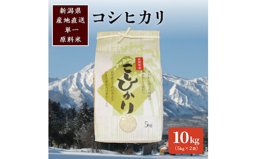 標高200mで育てた棚田米|令和7年産・新潟県上越産・従来種コシヒカリ精米10kg(5kg×2袋)