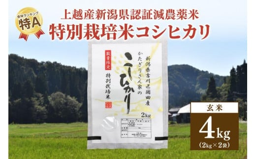 250kg限定★令和6年産・新潟県上越市吉川区国田産・県認証減農薬米／特別栽培米コシヒカリ玄米4kg