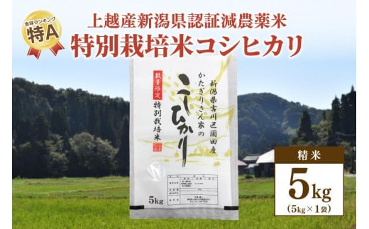 250kg限定★令和6年産・新潟県上越市吉川区国田産・県認証減農薬米／特別栽培米コシヒカリ精米5kg