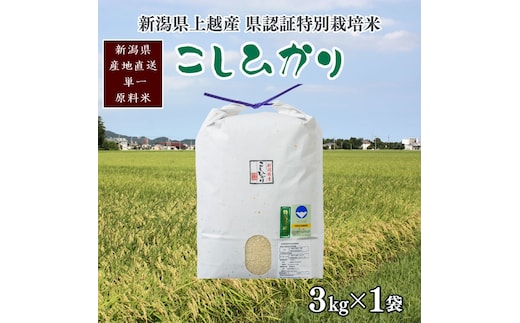 令和7年産/新潟県上越産 人気のお米「新潟県認証特別栽培米コシヒカリ」精米3kg