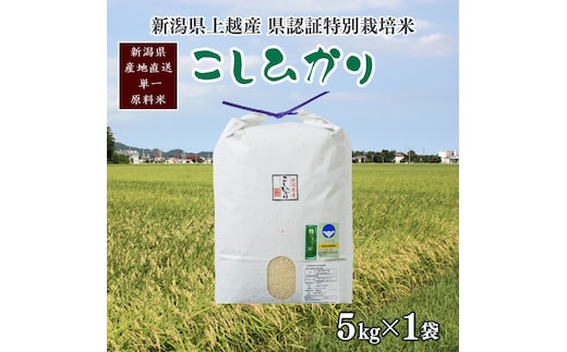 令和7年産/新潟県上越産 人気のお米「新潟県認証特別栽培米コシヒカリ」精米5kg
