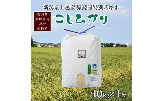 令和7年産/新潟県上越産 人気のお米「新潟県認証特別栽培米コシヒカリ」精米10kg