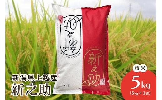 令和7年産/新潟県上越産ブランド米「新潟県認証特別栽培米・新之助」精米5kg