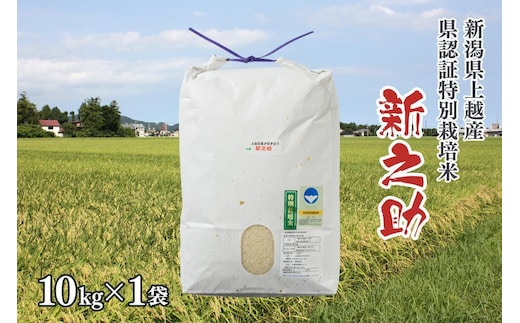 令和7年産/新潟県上越産ブランド米「新潟県認証特別栽培米・新之助」精米10kg