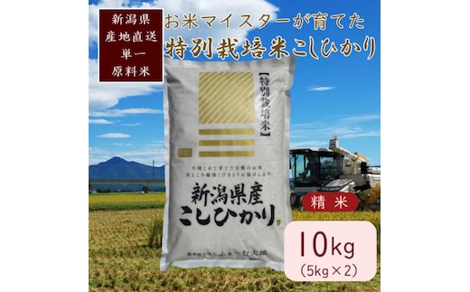 お米マイスターが育てた 特別栽培米 コシヒカリ 上越頸城産 令和7年産 10kg(5kg×2袋)白米