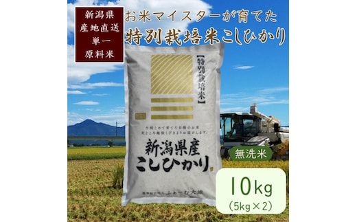 お米マイスターが育てた特別栽培米 精米コシヒカリ 上越産 令和7年産 10kg(5kgx2袋)無洗米