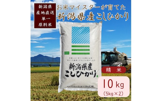 令和7年産 お米マイスターが育てた上越産コシヒカリ10kg(5kg×2)白米 精米