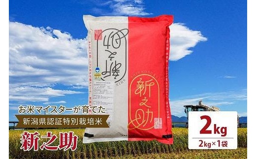 令和7年産お米マイスターが育てた新潟県認証特別栽培米「新之助」上越頸城産 2kg(2kg×1)精米
