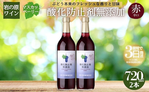 ワイン 岩の原ワイン 酸化防止剤無添加 赤 辛口 2本セット マスカットベーリーA お酒 岩の原 新潟 上越 ギフト
