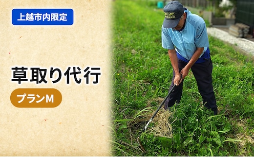 草取り 代行プラン Ｍ（上越市内限定）草刈り 手作業 雑草 除草 上越市