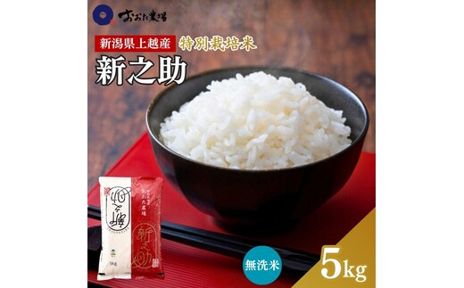 米 【令和7年産】 新潟県上越産 特別栽培米 新之助 【無洗米】 5kg 5キロ お米 こめ 白米 食品 人気 おすすめ にいがた 上越 上越産