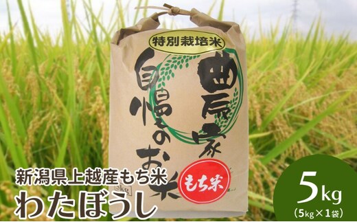 令和7年・新潟県上越産|もち米「わたぼうし」新潟県特別栽培米|5kg(白米)