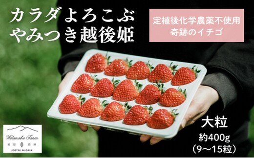 【先行予約 | 2026年1月中旬より出荷開始】いちご 大粒 カラダよろこぶ やみつき 越後姫 約400g×1パック (9～15粒入り) イチゴ 苺 上越市 新潟
