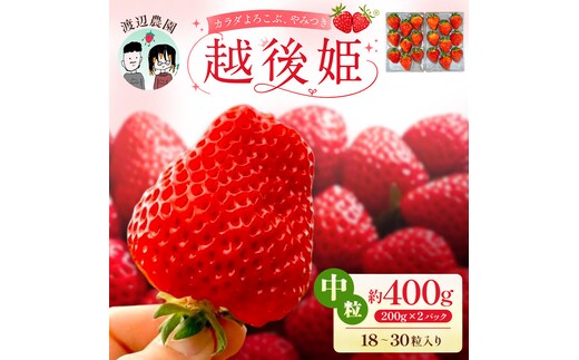 【先行予約｜2027年4月上旬より出荷開始】いちご 中粒 カラダよろこぶ 越後姫 約200g×2パック (18～30粒入り) イチゴ 苺 定植後化学農薬不使用 渡辺農園 上越市 新潟県