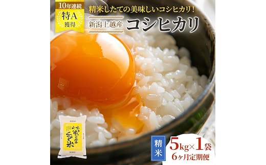 【精米したて！】 令和8年産 新潟県上越市産 コシヒカリ 定期便 5kg×6回 30kg 新米 先行予約 蛍の里