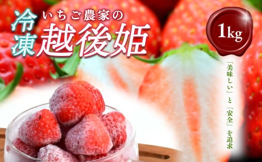 いちご 冷凍いちご 越後姫 1kg 冷凍 イチゴ 苺 果物 フルーツ 新潟