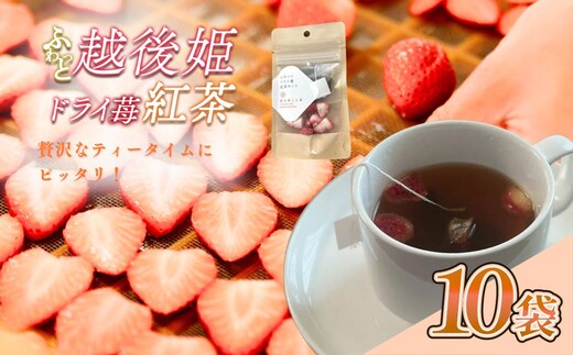 紅茶 ふわっと越後姫とふわっとドライ苺紅茶 各10袋セット 上越市 新潟 茶 苺