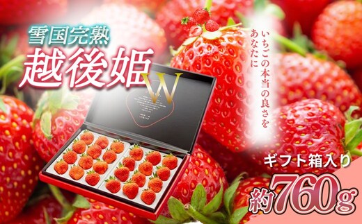 いちご 新潟 雪国完熟越後姫ダブル（約760g）ギフト箱入り イチゴ 苺 フルーツ お取り寄せ 贈り物 上越