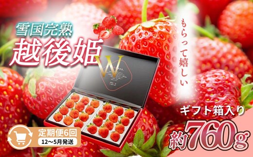 先行予約 定期便 6回【12～5月発送】いちごの定期配送 雪国完熟いちご越後姫 ダブル（約760g×全6回） 越後姫 いちご 苺の花ことば