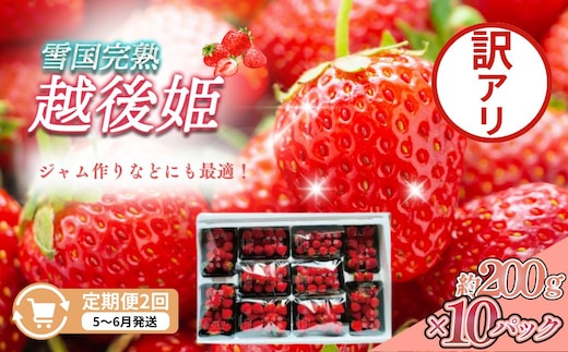 定期便 2回【5～6月発送】訳あり越後姫 約200g×10定期配送 越後姫 えちごひめ 苺 いちご 訳あり 新潟
