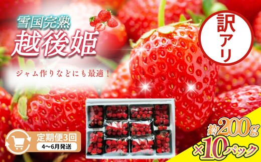 定期便 3回【4～6月発送】訳あり越後姫 約200g×10定期配送 越後姫 えちごひめ 苺 いちご 訳あり 新潟