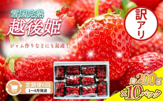 定期便 6回【1～6月発送】訳あり越後姫 約200g×10定期配送 越後姫 えちごひめ 苺 いちご 訳あり 新潟