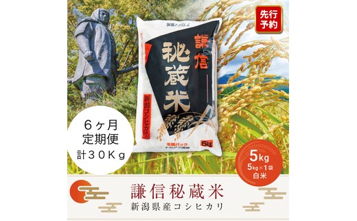 令和7年産 定期便6ヶ月連続発送（5kg×6回分）5kg 米 新潟県産 コシヒカリ 精白米 謙信秘蔵米 お米 こめ コメ おこめ おすすめ こしひかり 新潟 にいがた 新潟米 上越 上越産 上越米 ふるさと納税 定期便 上杉謙信 人気