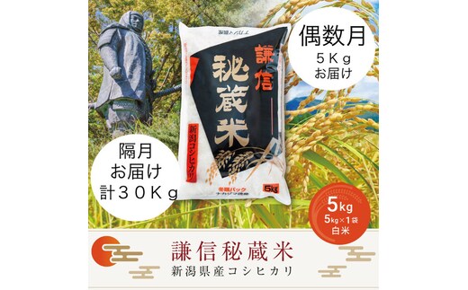 令和7年産 新潟県産 コシヒカリ 定期便 偶数月発送（5kg×6回分） 謙信秘蔵米 真空 窒素挿入 冬眠パック 米 お米 コメ 上越 上越産 上越米 上杉謙信