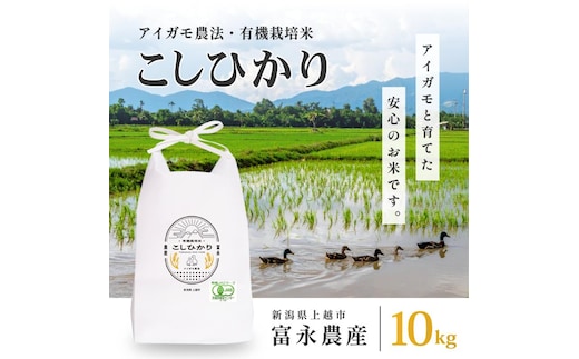 令和7年 新潟県産コシヒカリ アイガモ農法 10kg 10キロ（5kg×2） JAS有機栽培米 上越市 三和区神田 富永農産 送料無料 安全・安心こしひかり