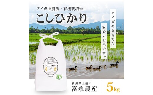 令和7年 新潟県産コシヒカリ アイガモ農法 5kg 5キロ JAS有機栽培米 上越市 三和区神田 富永農産 送料無料 安全・安心こしひかり