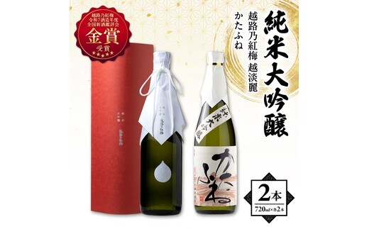 日本酒 【令和7酒造年度全国新酒鑑評会 金賞受賞】 越路乃紅梅 越淡麗 かたふね 純米大吟醸 720ml 2本 セット お酒 おすすめ 酒 ふるさと納税 新潟 新潟県産 にいがた 上越 上越産